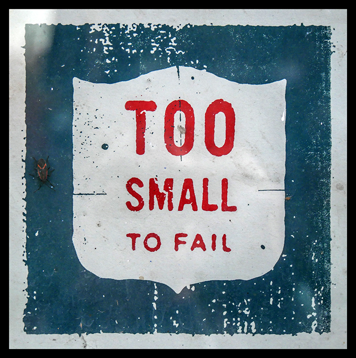 too-small-to-fail-1010152-blog
